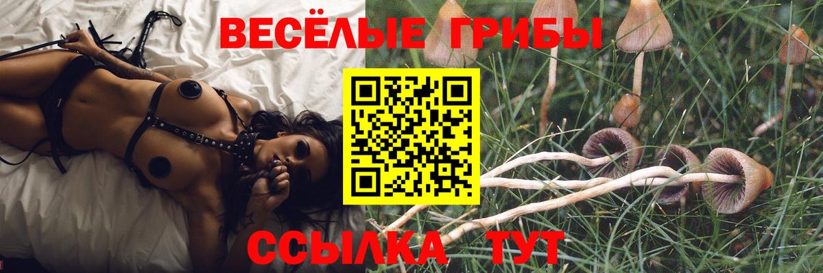 Кореновск  Галлюциногенные грибы ЛСД  Вход с VPN 